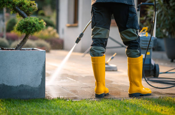 Best Roof Power Washing Services  in London, OH